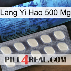 Lang Yi Hao 500 Mg 34